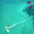 Kitesurfing-with-Great-White