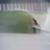 Steph-in-the-barrel-off-KS-wave-pool-