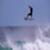 Seabass-high-air