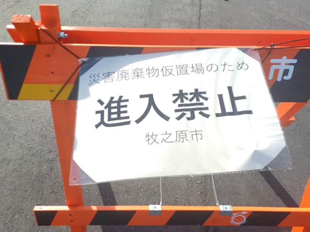静波6