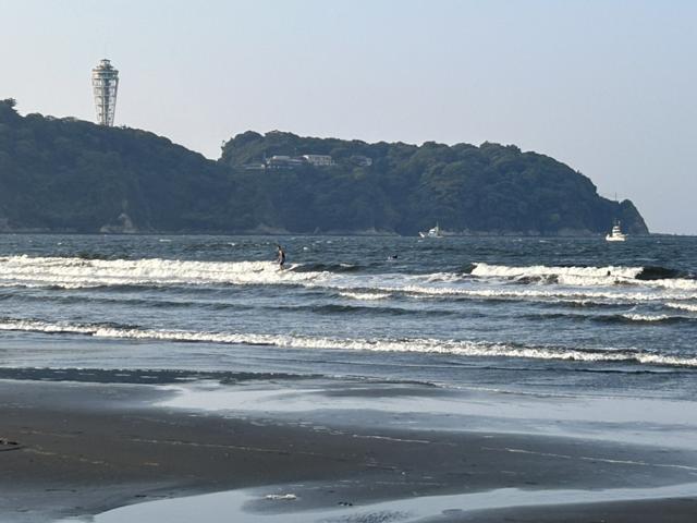 江の水1