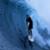 Jack-Challis-WA