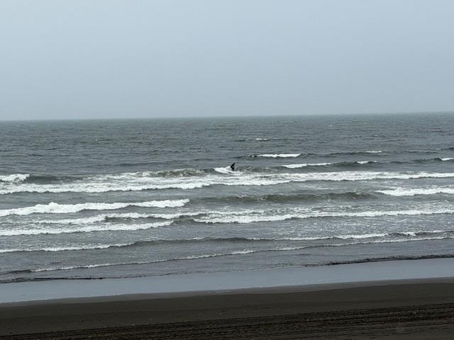 水族館正面付近0410