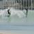 Surf-Ranch