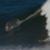 Vissla