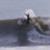 Lakey-Peterson