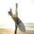 Quiksilver