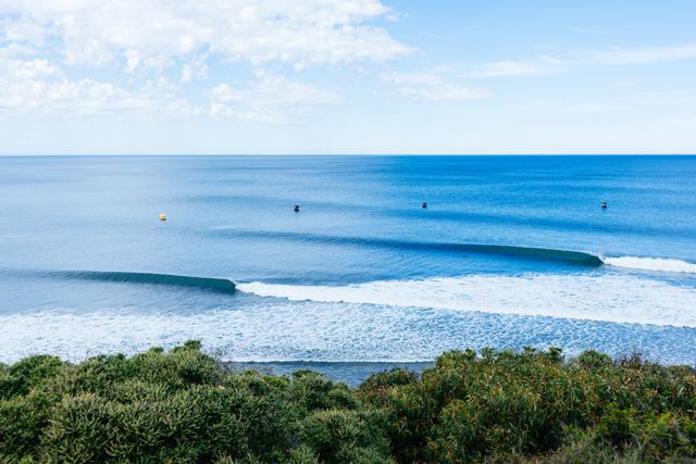 エフプラスコラム