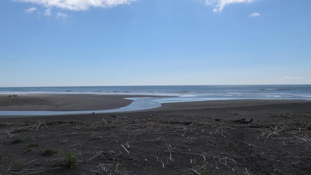 花籠 河口