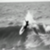 b012474642d53c31a897e73a0157687b