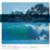 color-of-surf2