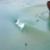 Surf-Lakes