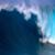 rothman_m4516peahi17Lynton_mm