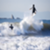 a9b3dfbe154ef2c20cba4c4f055be744