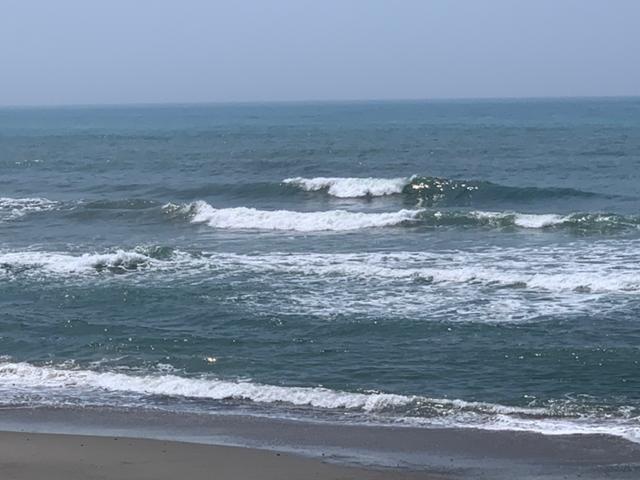 メロン2