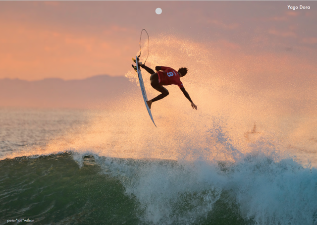 エフプラスコラム