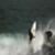 Surfing-Manner