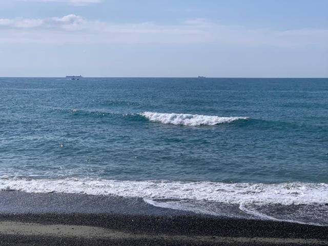 メロン1