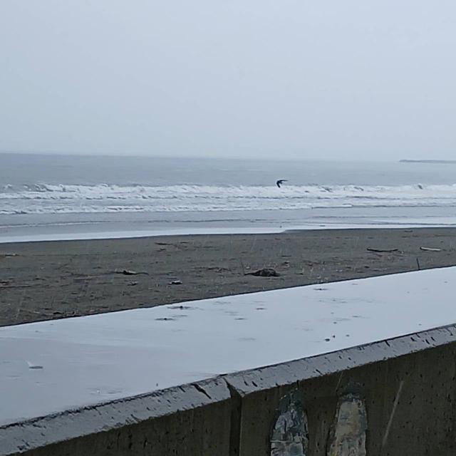 鹿島右側