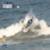 16ba0c150582bd8ba8c48cd928d7605d-300x169