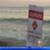 Beach-Closure-Shark