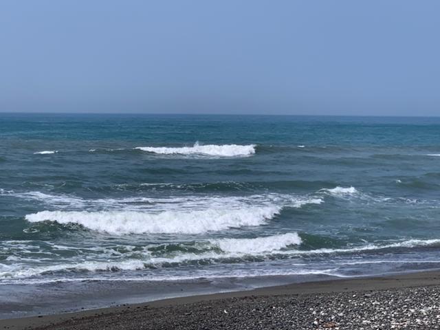 メロン3