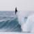 Mikey-Wright-France