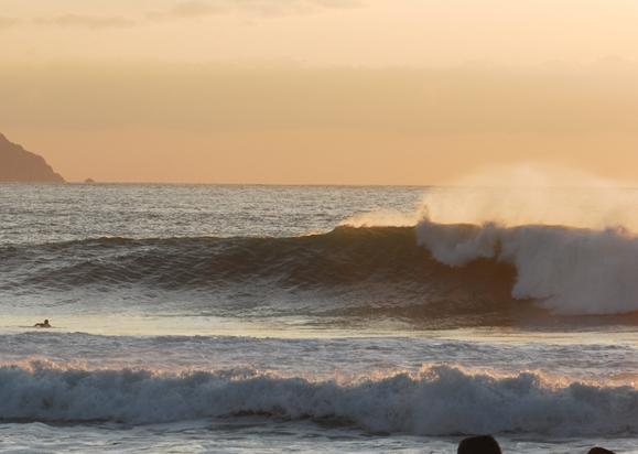 1253438892_2009jpsa4sikokuka