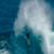 Yago-Dora-SKINNY-GOAT-EP-06-AUSTRALIA-2025-lY43xP3Xm48-944x531-2m25s