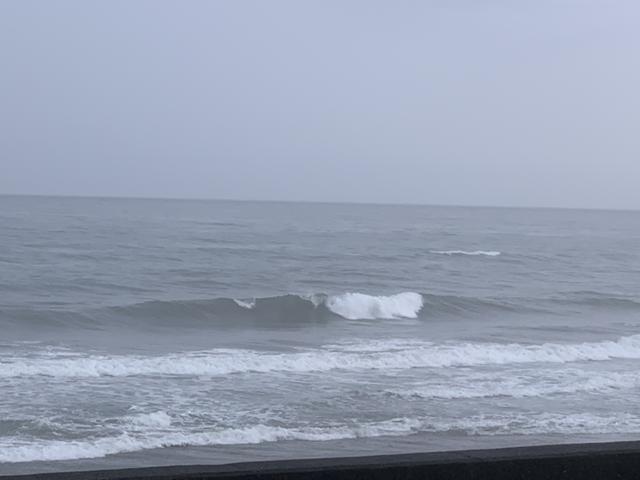 メロン3