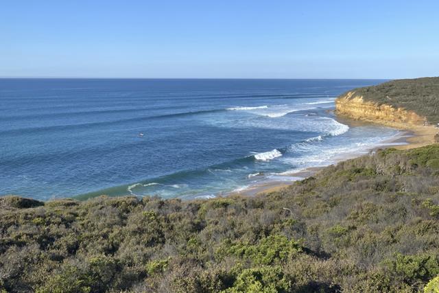 エフプラスコラム