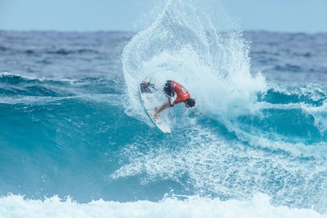 エフプラスコラム - ヤゴ・ドラ