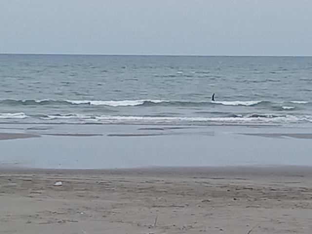 鹿島2