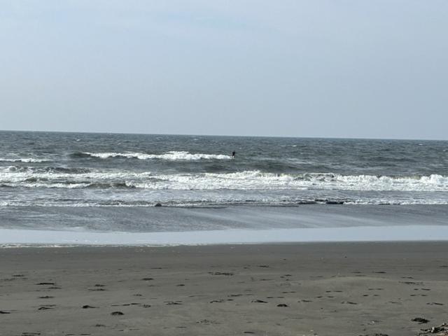 湘洋2