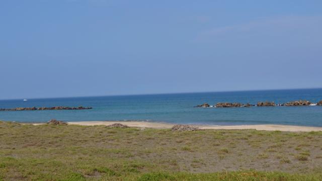 いすみ2