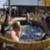 Surf-Ranch-Golden-Ticket