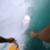 Bruce-Irons-GoPro-winning-entry