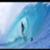 vlcsnap-2024-03-01-12h19m10s955