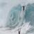 JOB-Waimea
