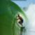Kelly-Slater-Surf-Ranch