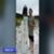 Surfer-fights-off-shark-in-terrifying-close-call-9-News-Australia