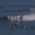 Brad-Jacobson-June-Malibu-Surfing-Good-Waves-Classic-Chaos-85EyFNnIup0-944x531-3m55s