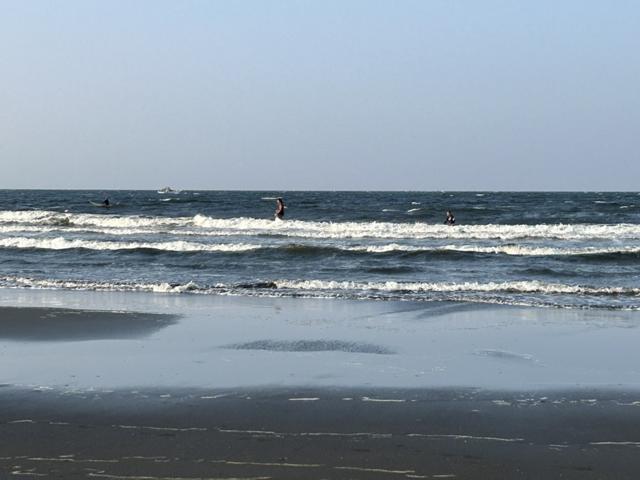 江の水3