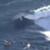 2019-Red-Bull-Cape-Fear