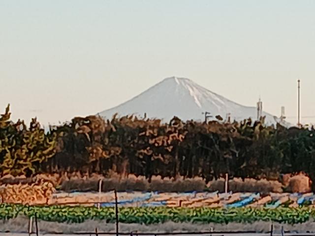 富士山