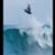 julian-wilson