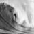 Wade-Goodall-Indo