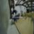 9f980227469d6bbcece1a949e9bd32aa
