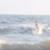2f67575eaca6a3e773ca761b083314ed