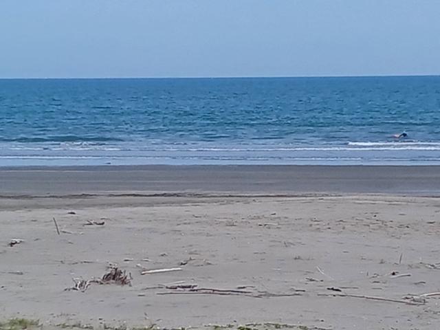 鹿島2